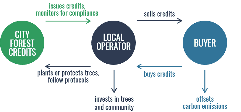 how carbon credits work diagram